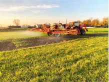 Na zdjęciu ciągnik na polu wykonujący oprysk zbóż ozimych