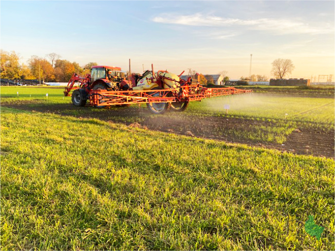 Na zdjęciu ciągnik na polu wykonujący oprysk zbóż ozimych